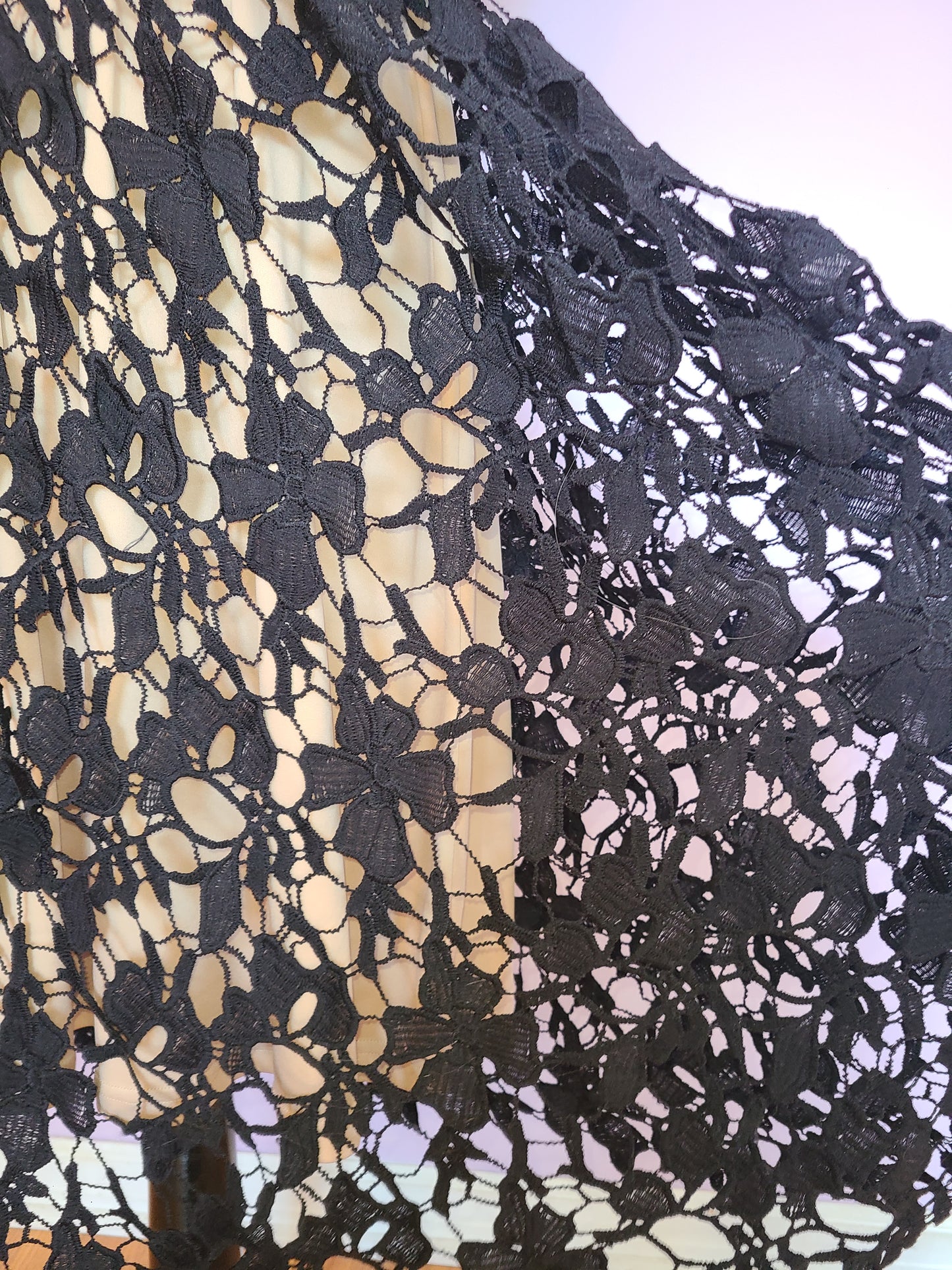 Aqua for Bloomingdales Black Lace Nude Illusion Dress | Size M